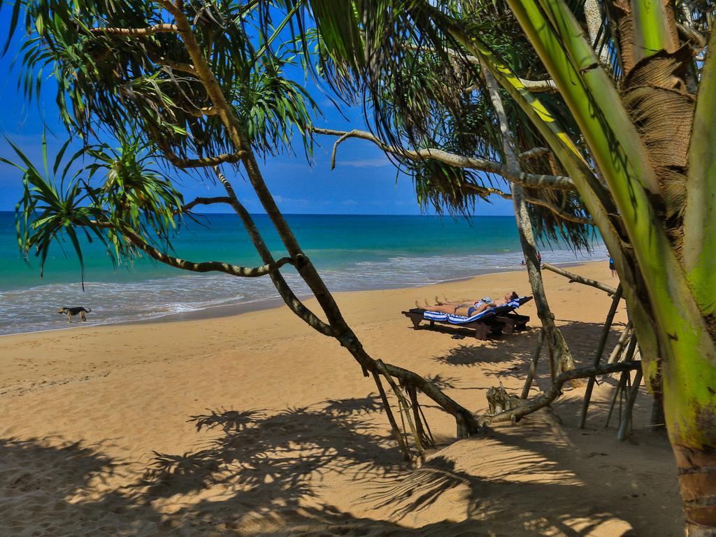 Thejan Beach Cabanas Bentota Dış mekan fotoğraf