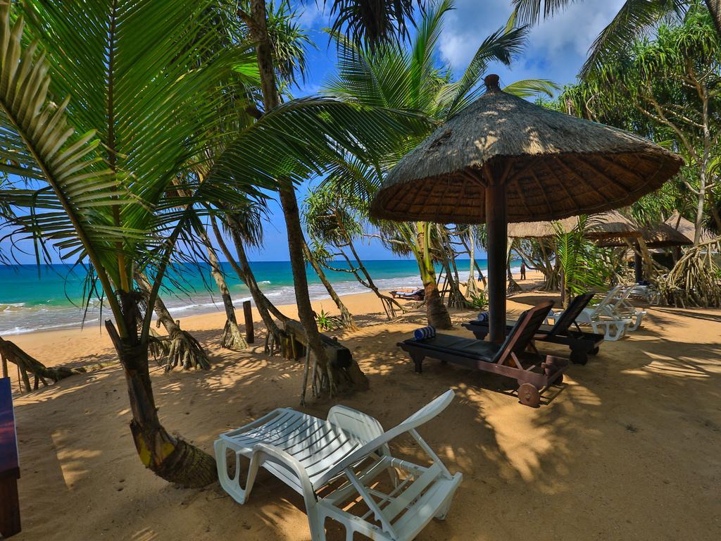 Thejan Beach Cabanas Bentota Dış mekan fotoğraf