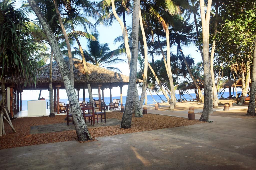 Thejan Beach Cabanas Bentota Dış mekan fotoğraf